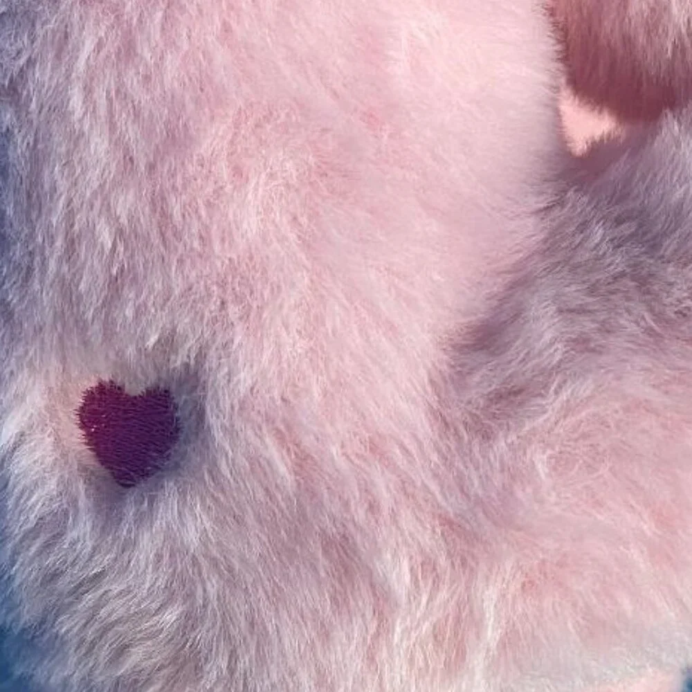 NWT & GREAT GIFT  ADORABLE CARE BEARS KIDS SLIPPERS SIZE XL 4 - 5 PINK ( CHEER )